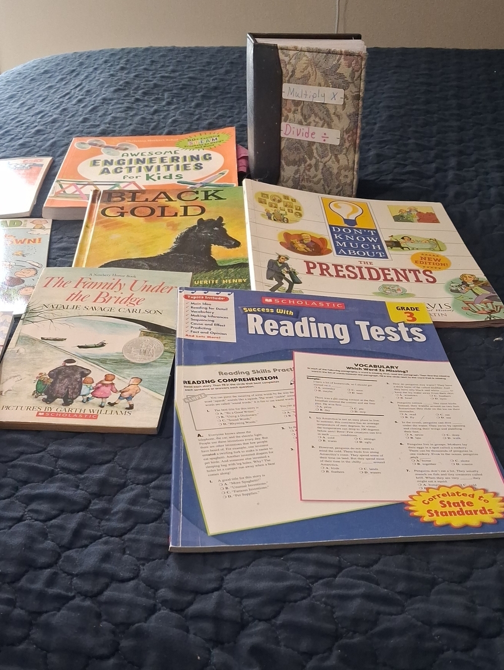 Assorted Used Book Lot